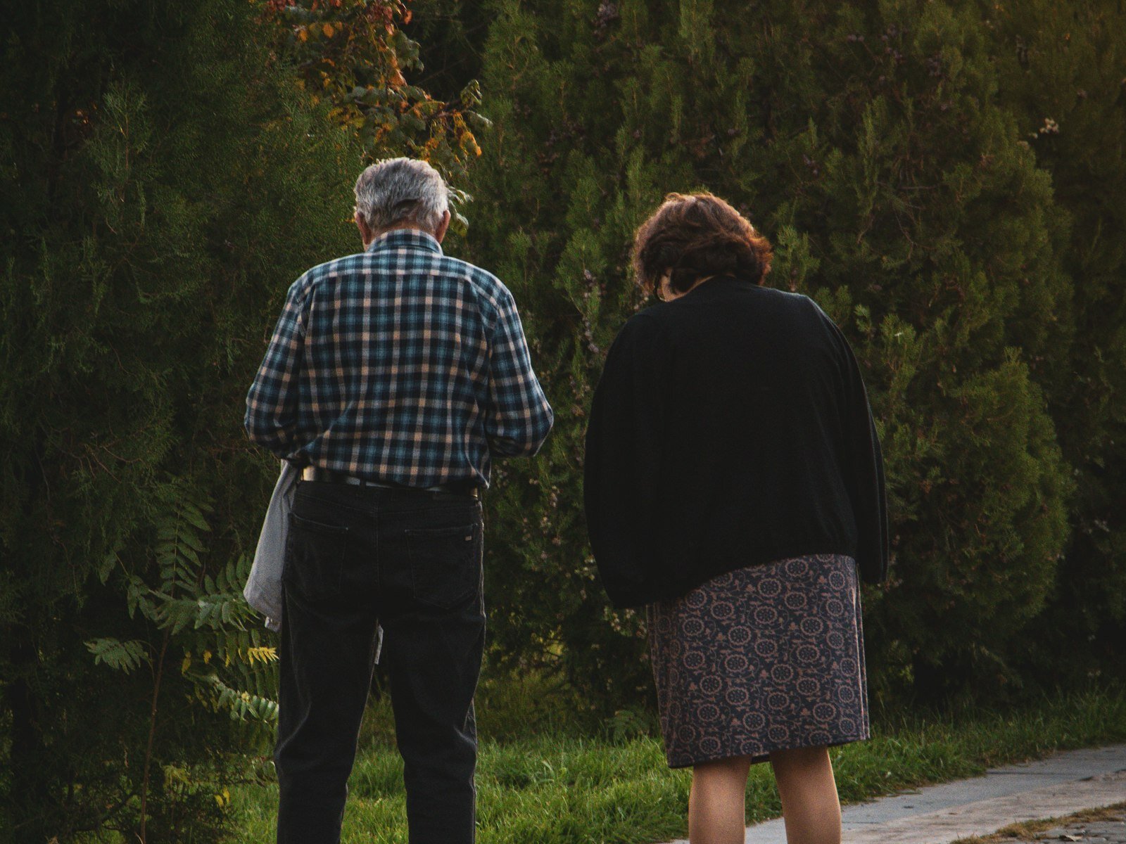 Two people seen from behind, walking side by side on a path at sunset