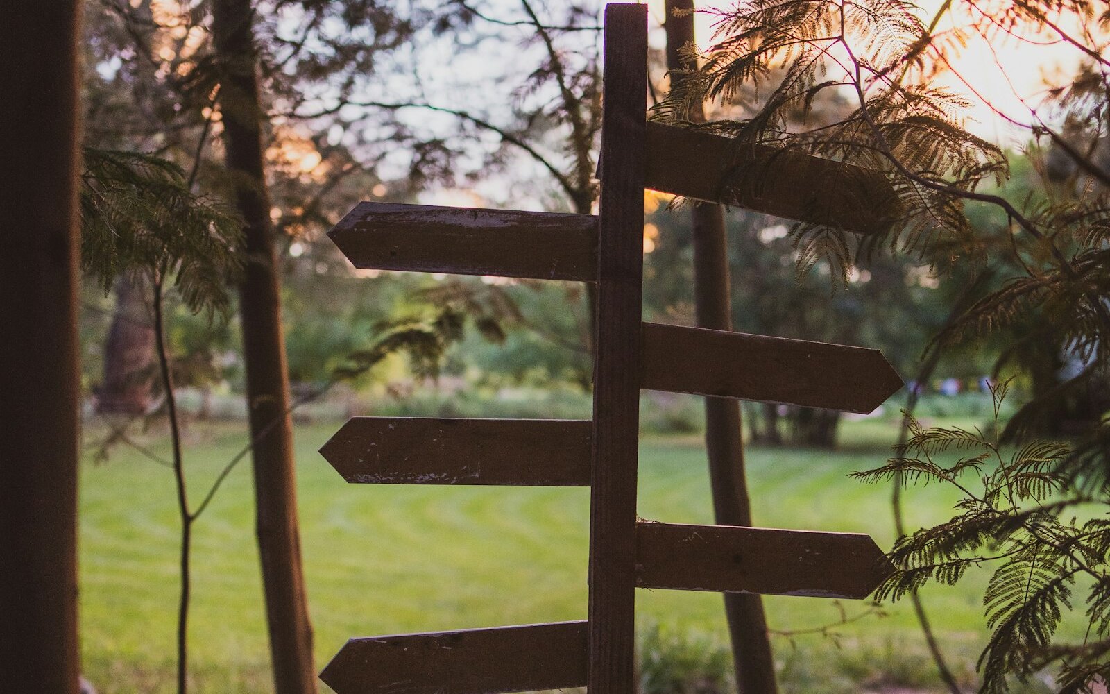A wooden signpost in a forest with arrows pointing in several directions