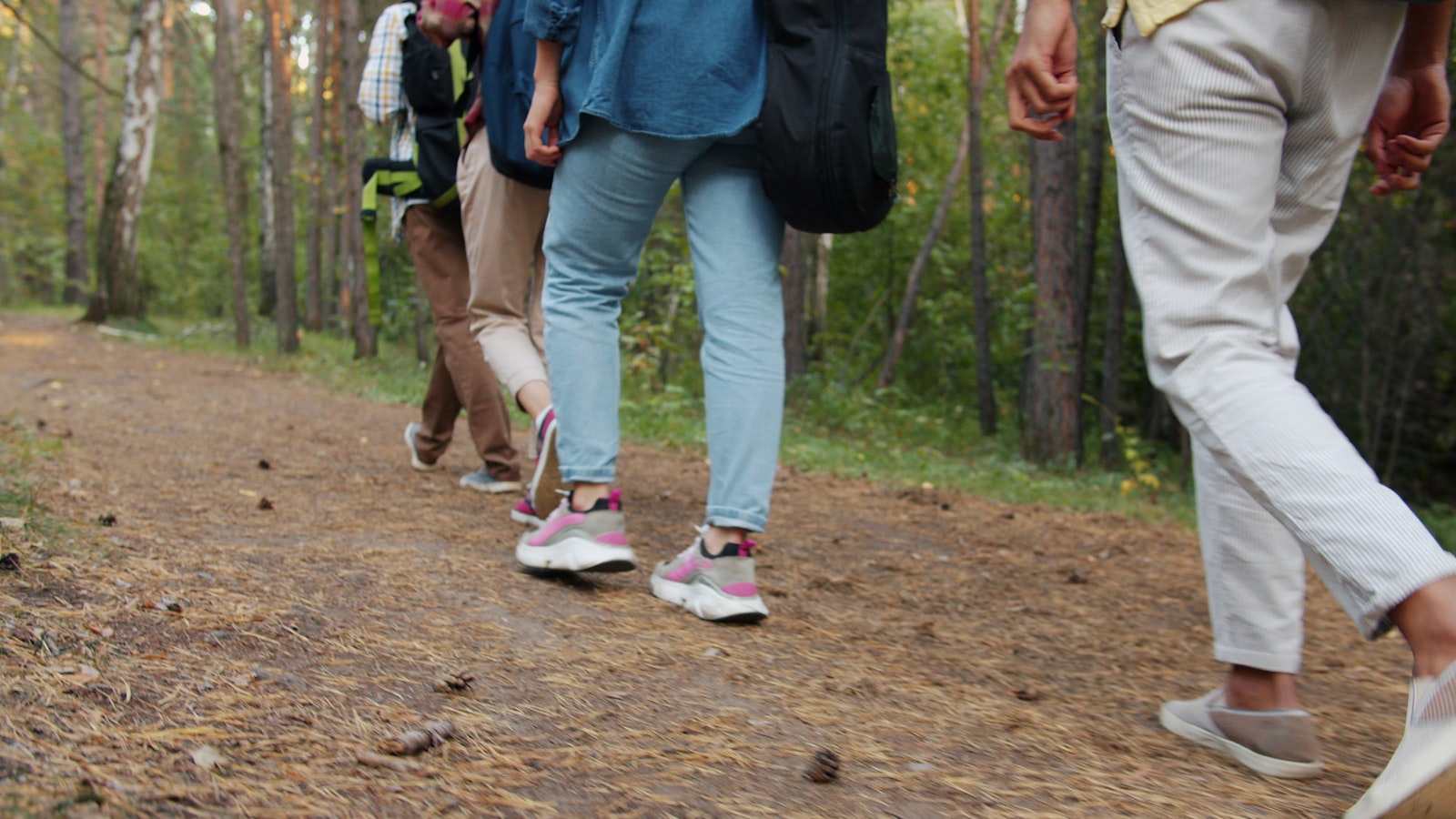 People walking together along a forest path