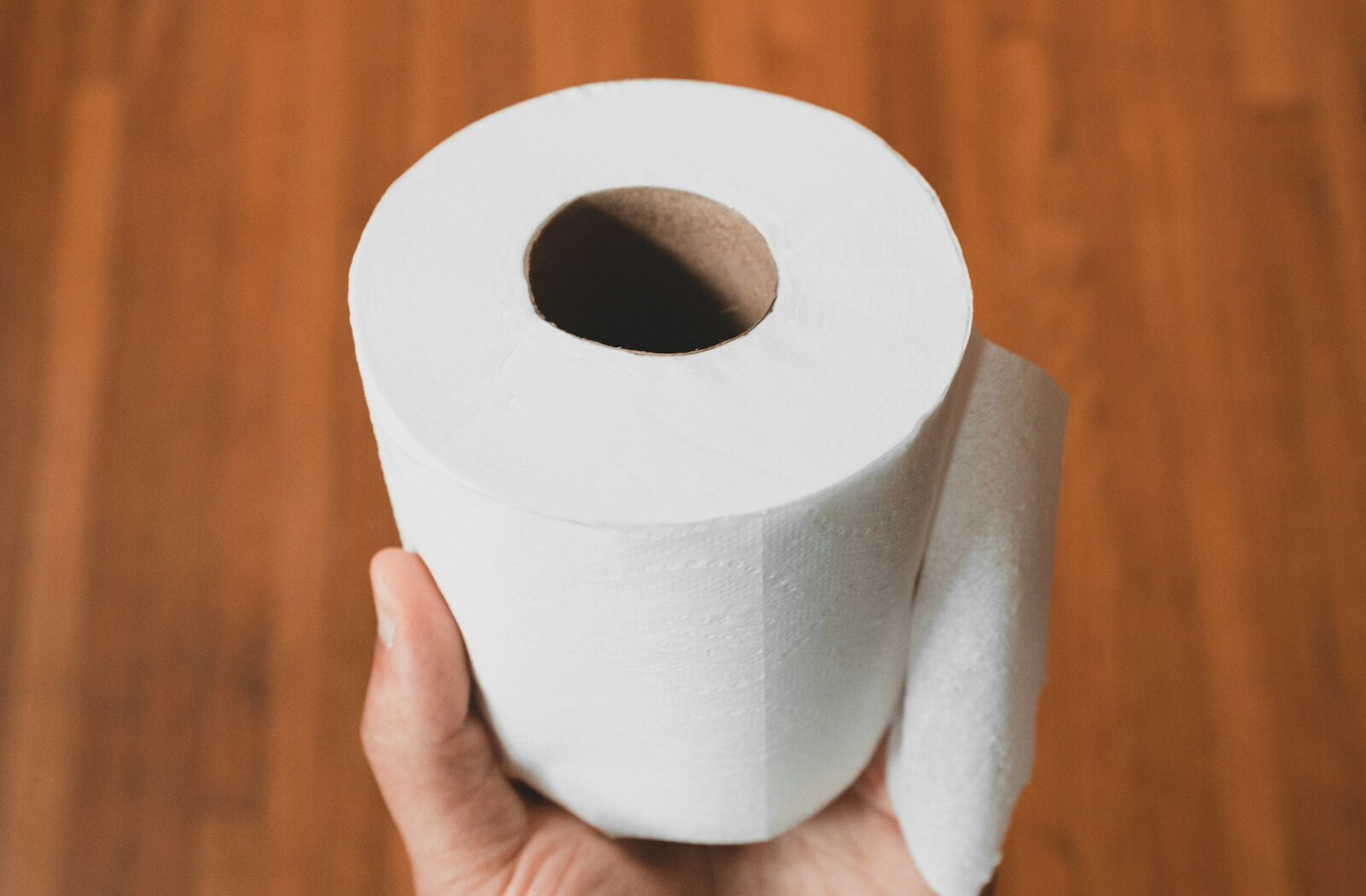 A hand holding a roll of white toilet paper